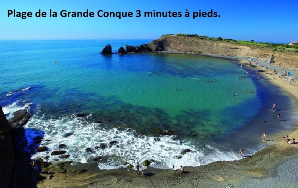Cap D'Agde 300M Plage Du Mole,Vue Port,Parking,Lave Linge,Piscine Apartment Exterior photo