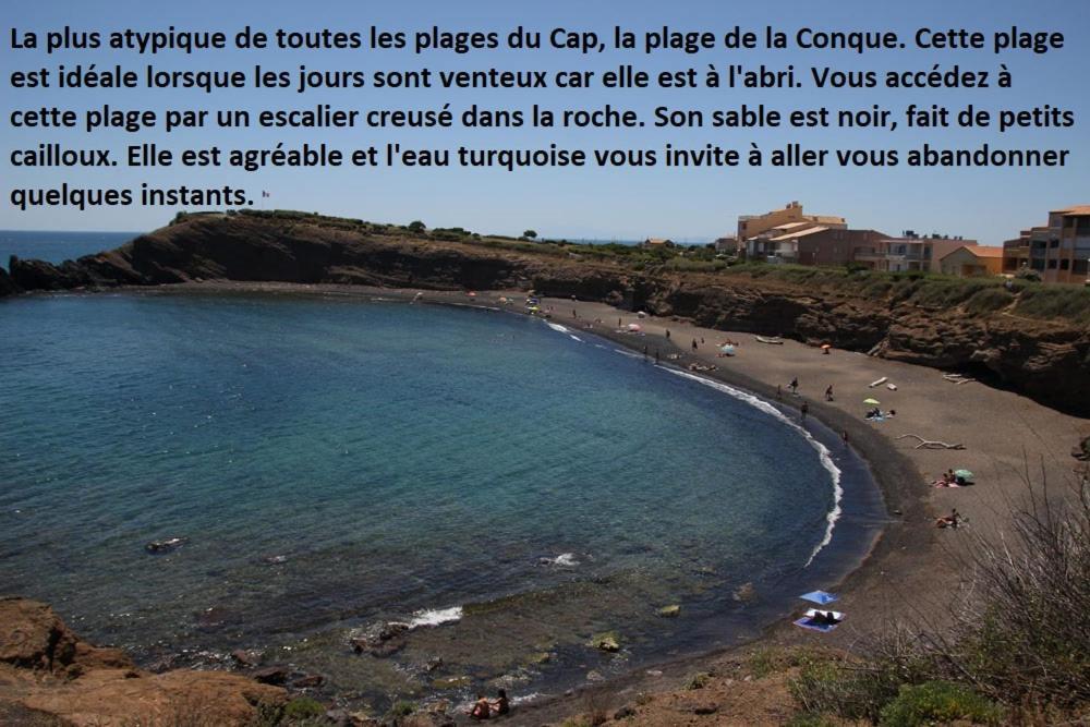 Cap D'Agde 300M Plage Du Mole,Vue Port,Parking,Lave Linge,Piscine Apartment Exterior photo